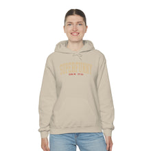 Load image into Gallery viewer, New Super Funny Black Hoodie