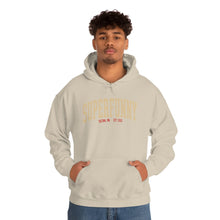 Load image into Gallery viewer, New Super Funny Black Hoodie