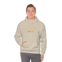 Load image into Gallery viewer, New Super Funny Black Hoodie