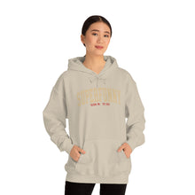 Load image into Gallery viewer, New Super Funny Black Hoodie